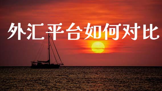 外汇平台如何对比_https://wap.lcjysmgs.com_债券基金_第1张