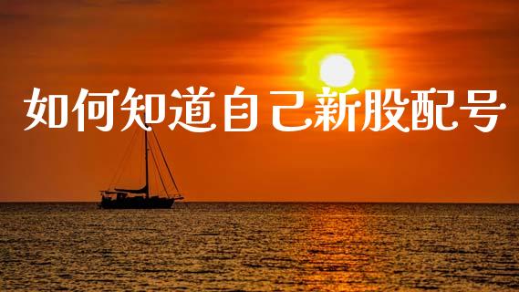 如何知道自己新股配号_https://wap.lcjysmgs.com_元宇宙_第1张