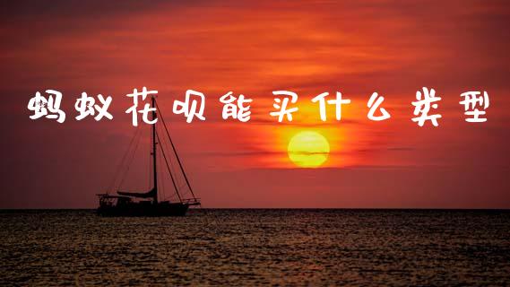 蚂蚁花呗能买什么类型_https://wap.lcjysmgs.com_原油期货_第1张