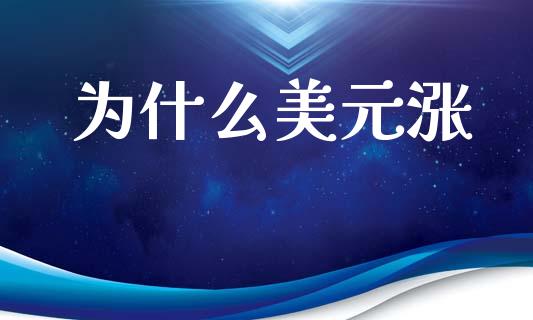 为什么美元涨_https://wap.lcjysmgs.com_原油期货_第1张