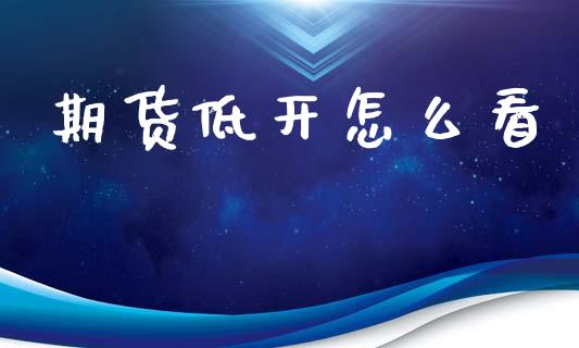 期货低开怎么看_https://wap.lcjysmgs.com_金融交易_第1张