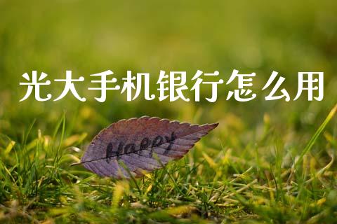 光大手机银行怎么用_https://wap.lcjysmgs.com_债券基金_第1张