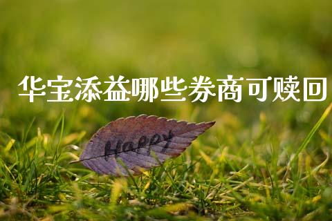 华宝添益哪些券商可赎回_https://wap.lcjysmgs.com_金融交易_第1张