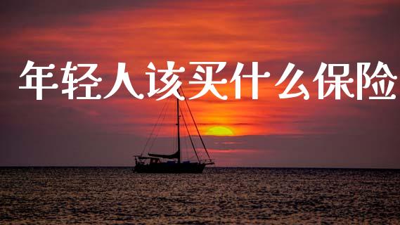 年轻人该买什么保险_https://wap.lcjysmgs.com_原油期货_第1张