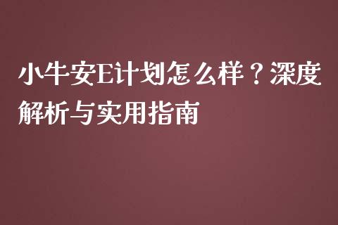 小牛安E计划怎么样？深度解析与实用指南_https://wap.lcjysmgs.com_原油期货_第1张