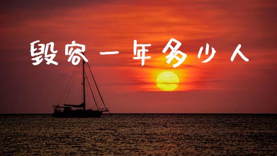 毁容一年多少人_https://wap.lcjysmgs.com_债券基金_第1张