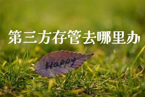 第三方存管去哪里办_https://wap.lcjysmgs.com_元宇宙_第1张