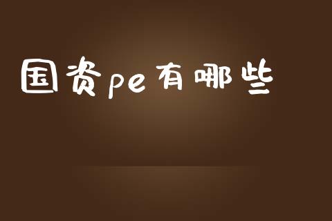 国资pe有哪些_https://wap.lcjysmgs.com_金融交易_第1张