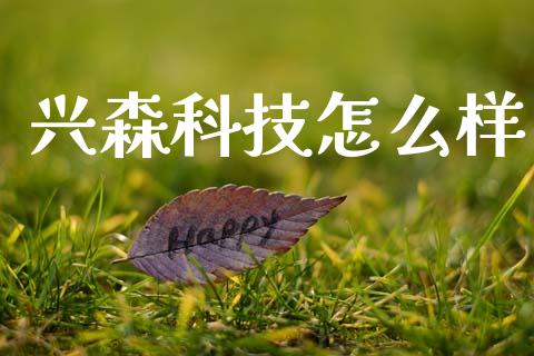 兴森科技怎么样_https://wap.lcjysmgs.com_债券基金_第1张