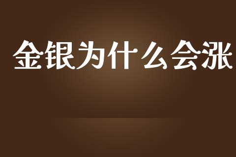 金银为什么会涨_https://wap.lcjysmgs.com_元宇宙_第1张