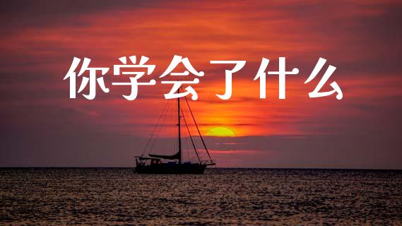 你学会了什么_https://wap.lcjysmgs.com_债券基金_第1张