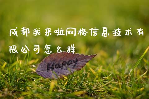 成都我来啦网格信息技术有限公司怎么样_https://wap.lcjysmgs.com_元宇宙_第1张