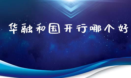 华融和国开行哪个好_https://wap.lcjysmgs.com_元宇宙_第1张