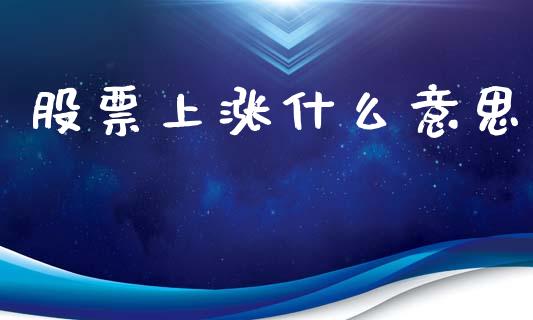 股票上涨什么意思_https://wap.lcjysmgs.com_原油期货_第1张