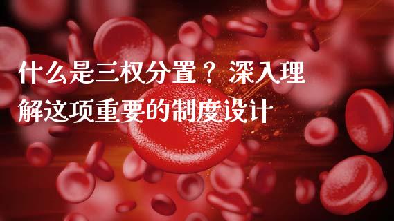 什么是三权分置？ 深入理解这项重要的制度设计_https://wap.lcjysmgs.com_原油期货_第1张