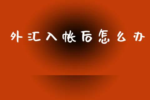 外汇入帐后怎么办_https://wap.lcjysmgs.com_原油期货_第1张
