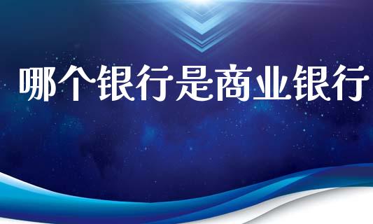 哪个银行是商业银行_https://wap.lcjysmgs.com_元宇宙_第1张
