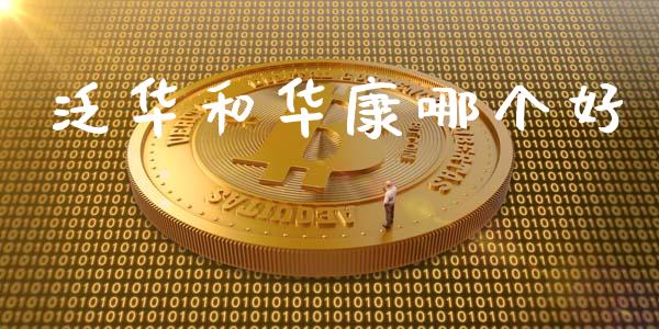 泛华和华康哪个好_https://wap.lcjysmgs.com_元宇宙_第1张