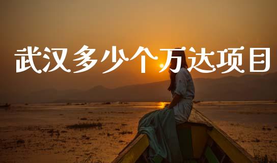 武汉多少个万达项目_https://wap.lcjysmgs.com_债券基金_第1张