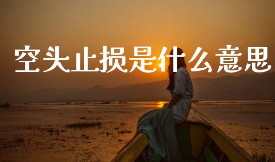 空头止损是什么意思_https://wap.lcjysmgs.com_原油期货_第1张