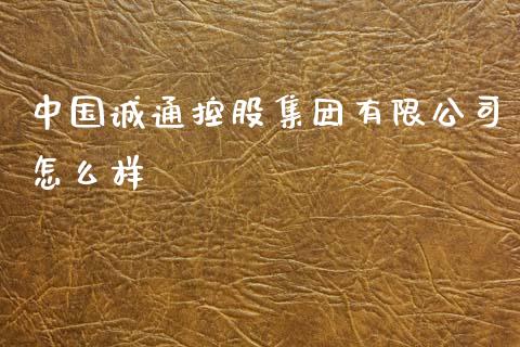 中国诚通控股集团有限公司怎么样_https://wap.lcjysmgs.com_金融交易_第1张