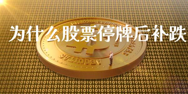 为什么股票停牌后补跌_https://wap.lcjysmgs.com_原油期货_第1张