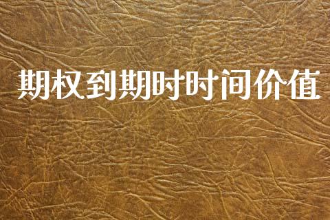 期权到期时时间价值_https://wap.lcjysmgs.com_金融交易_第1张