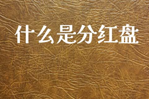 什么是分红盘_https://wap.lcjysmgs.com_金融交易_第1张