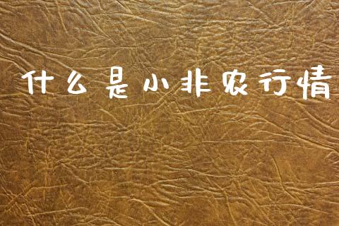 什么是小非农行情_https://wap.lcjysmgs.com_金融交易_第1张