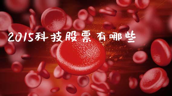 2015科技股票有哪些_https://wap.lcjysmgs.com_债券基金_第1张