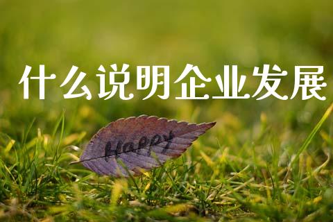 什么说明企业发展_https://wap.lcjysmgs.com_债券基金_第1张