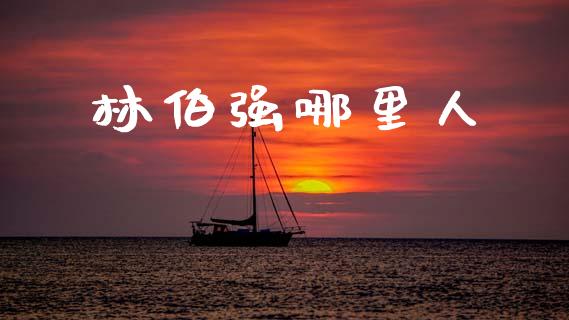 林伯强哪里人_https://wap.lcjysmgs.com_元宇宙_第1张