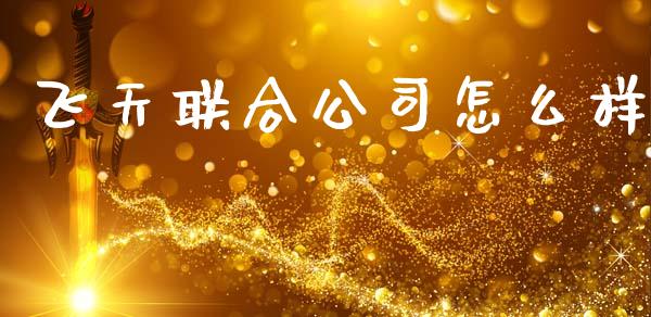 飞天联合公司怎么样_https://wap.lcjysmgs.com_债券基金_第1张
