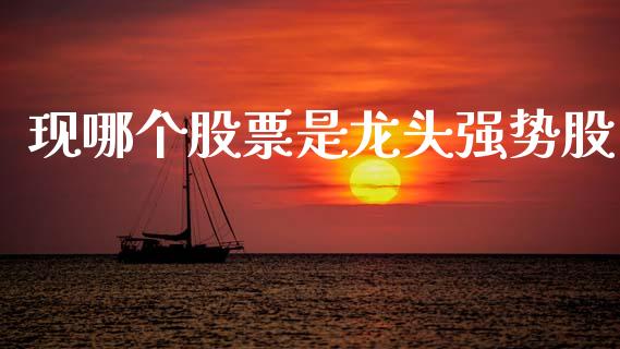 现哪个股票是龙头强势股_https://wap.lcjysmgs.com_元宇宙_第1张