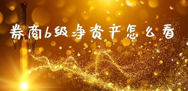 券商b级净资产怎么看_https://wap.lcjysmgs.com_债券基金_第1张
