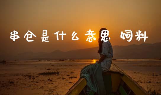 串仓是什么意思 饲料_https://wap.lcjysmgs.com_原油期货_第1张