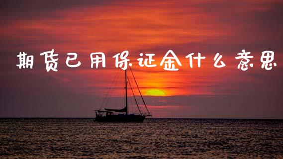 期货已用保证金什么意思_https://wap.lcjysmgs.com_金融交易_第1张