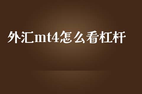 外汇mt4怎么看杠杆_https://wap.lcjysmgs.com_元宇宙_第1张
