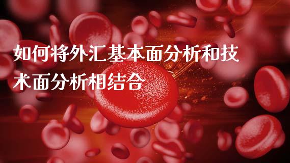 如何将外汇基本面分析和技术面分析相结合_https://wap.lcjysmgs.com_债券基金_第1张