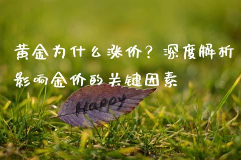 黄金为什么涨价？深度解析影响金价的关键因素_https://wap.lcjysmgs.com_原油期货_第1张