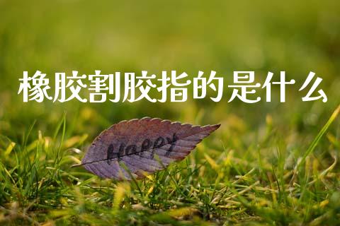 橡胶割胶指的是什么_https://wap.lcjysmgs.com_债券基金_第1张