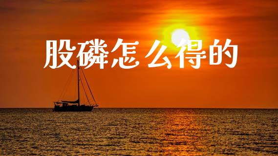 股磷怎么得的_https://wap.lcjysmgs.com_债券基金_第1张