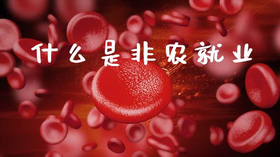 什么是非农就业_https://wap.lcjysmgs.com_原油期货_第1张
