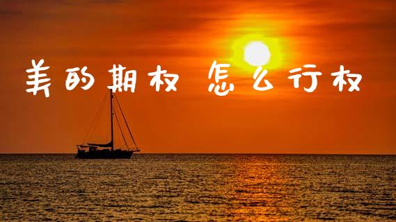 美的期权 怎么行权_https://wap.lcjysmgs.com_原油期货_第1张
