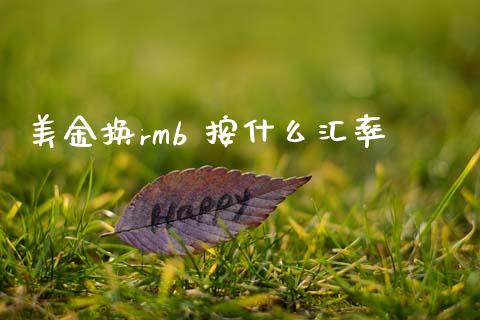 美金换rmb 按什么汇率_https://wap.lcjysmgs.com_债券基金_第1张