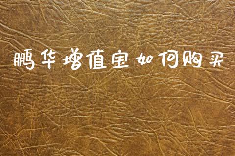鹏华增值宝如何购买_https://wap.lcjysmgs.com_金融交易_第1张