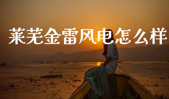 莱芜金雷风电怎么样_https://wap.lcjysmgs.com_金融交易_第1张