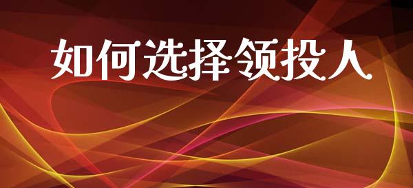 如何选择领投人_https://wap.lcjysmgs.com_债券基金_第1张