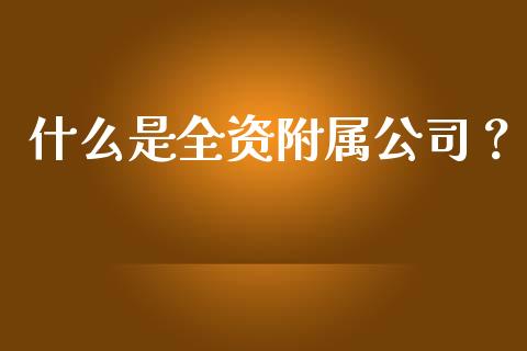 什么是全资附属公司?_元宇宙_第1张_金融交易_元宇宙_原油期货_债券基金 什么是全资附属公司?_https://wap.lcjysmgs.com_元宇宙_第1张