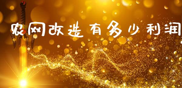 农网改造有多少利润_https://wap.lcjysmgs.com_债券基金_第1张